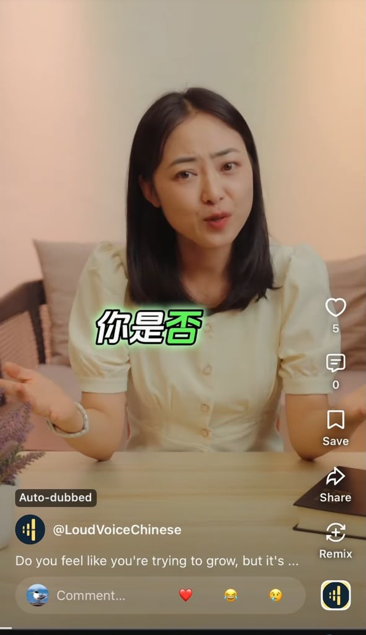 A LoudVoice reel in Chinese — “你是否”